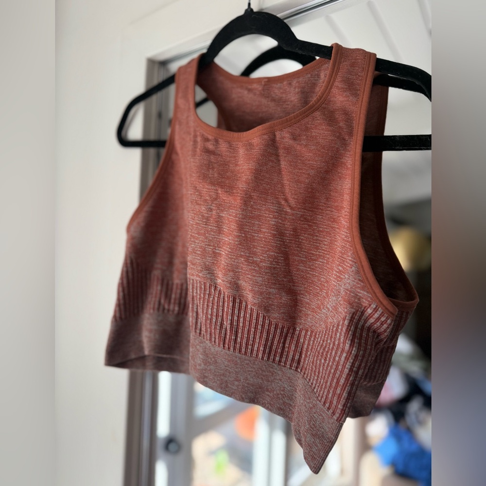 Fabletics ombré Sports Bra XXL/1X